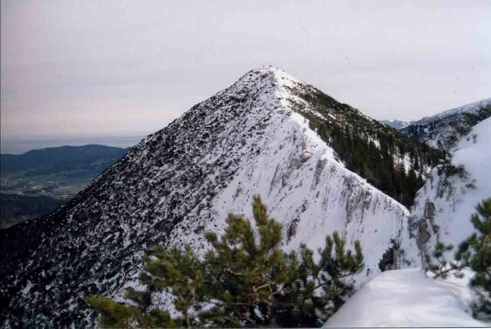 Bild14