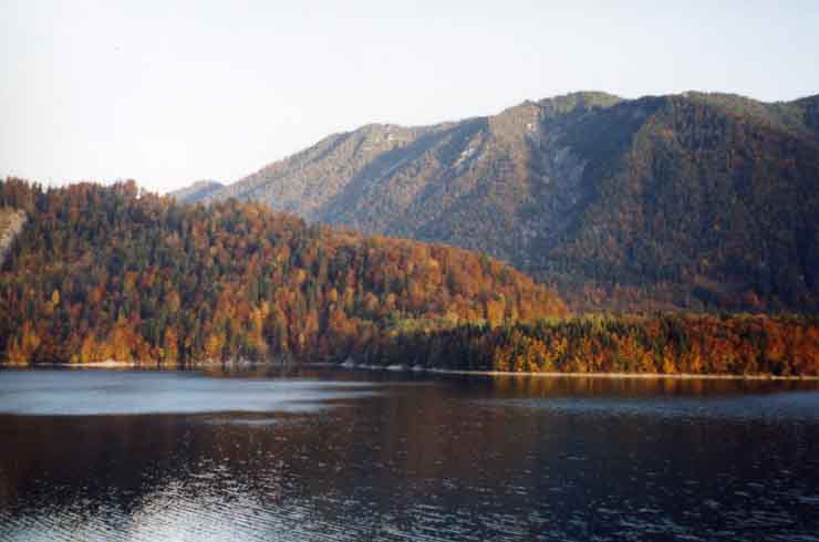 Bild1