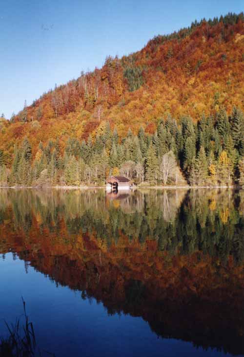 Bild12
