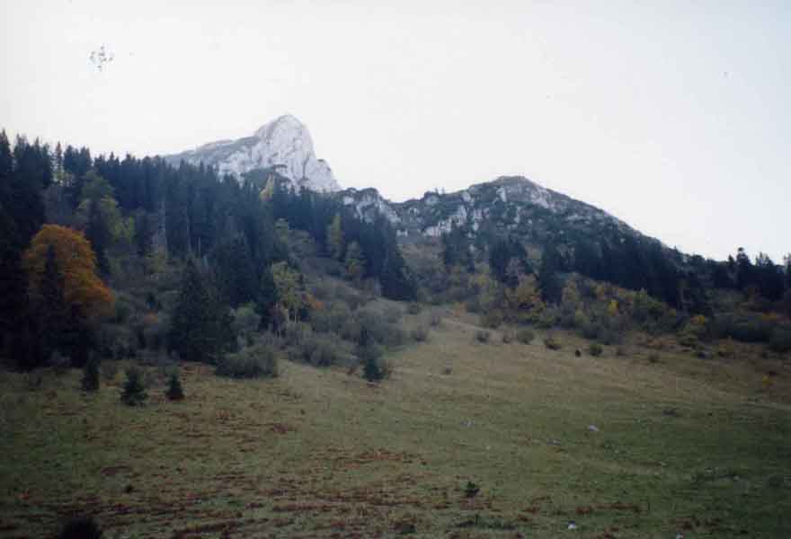 Bild1