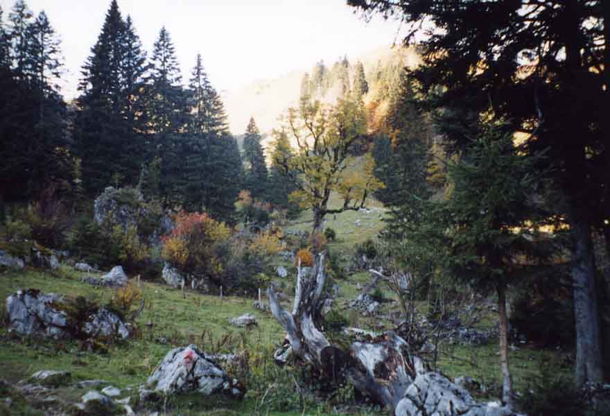 Bild10