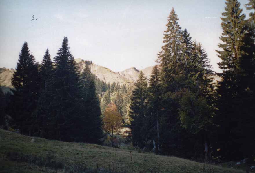 Bild12