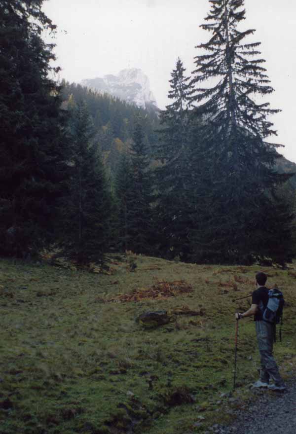 Bild13